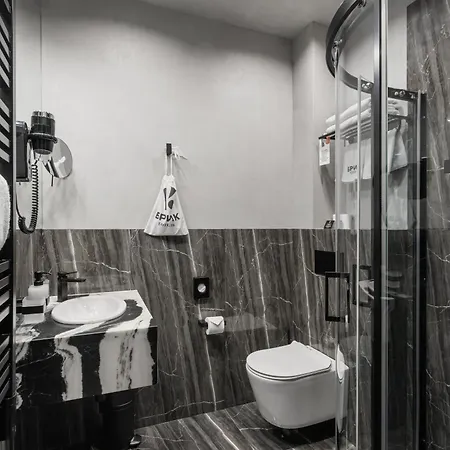 Hotel Bryk - Maestro