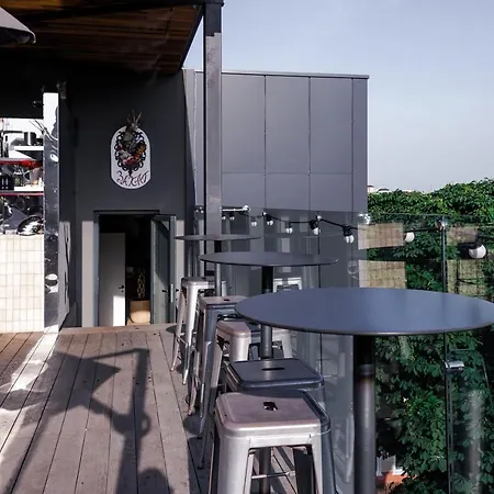 Bryk - Maestro Hotel 4*